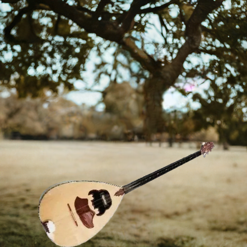 Arab Kurdish Buzuq With Mastex Pickup Yp2