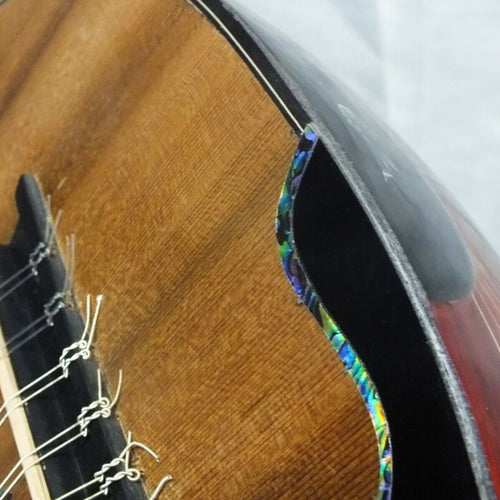 Beautiful High Quality Padauk Oud Ud with Equalizer tl1