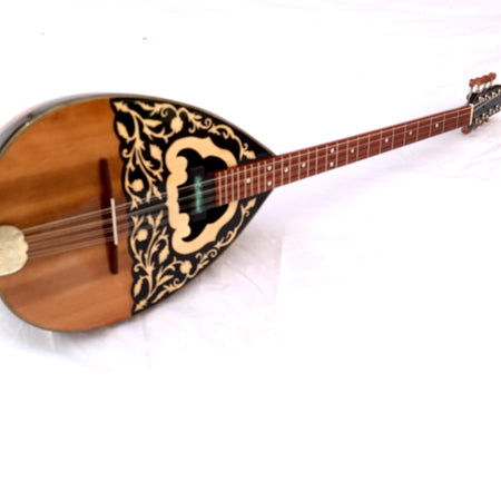 Acoustic Greek Bouzoukis With Mastex Pickup W/ Truss Rod yp1