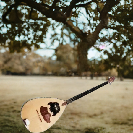 Arab Kurdish Buzuq With Mastex Pickup Yp2