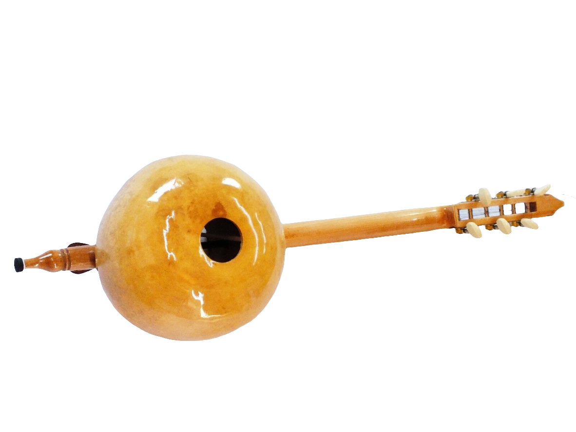 String Instrument Quality 6 Courses Gourd Kabak Kemane W/ Bag