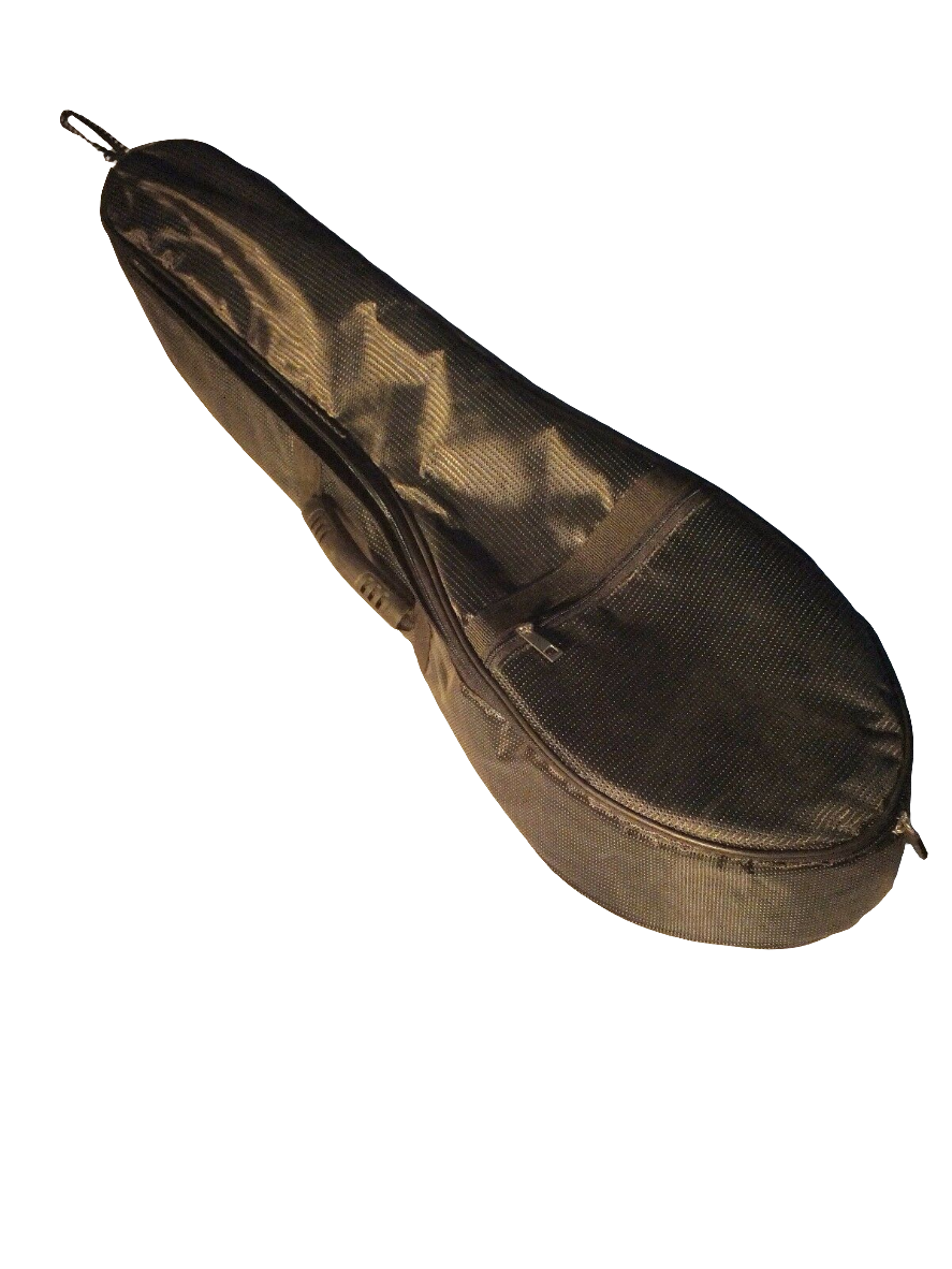 String Instrument Quality 6 Courses Gourd Kabak Kemane W/ Bag