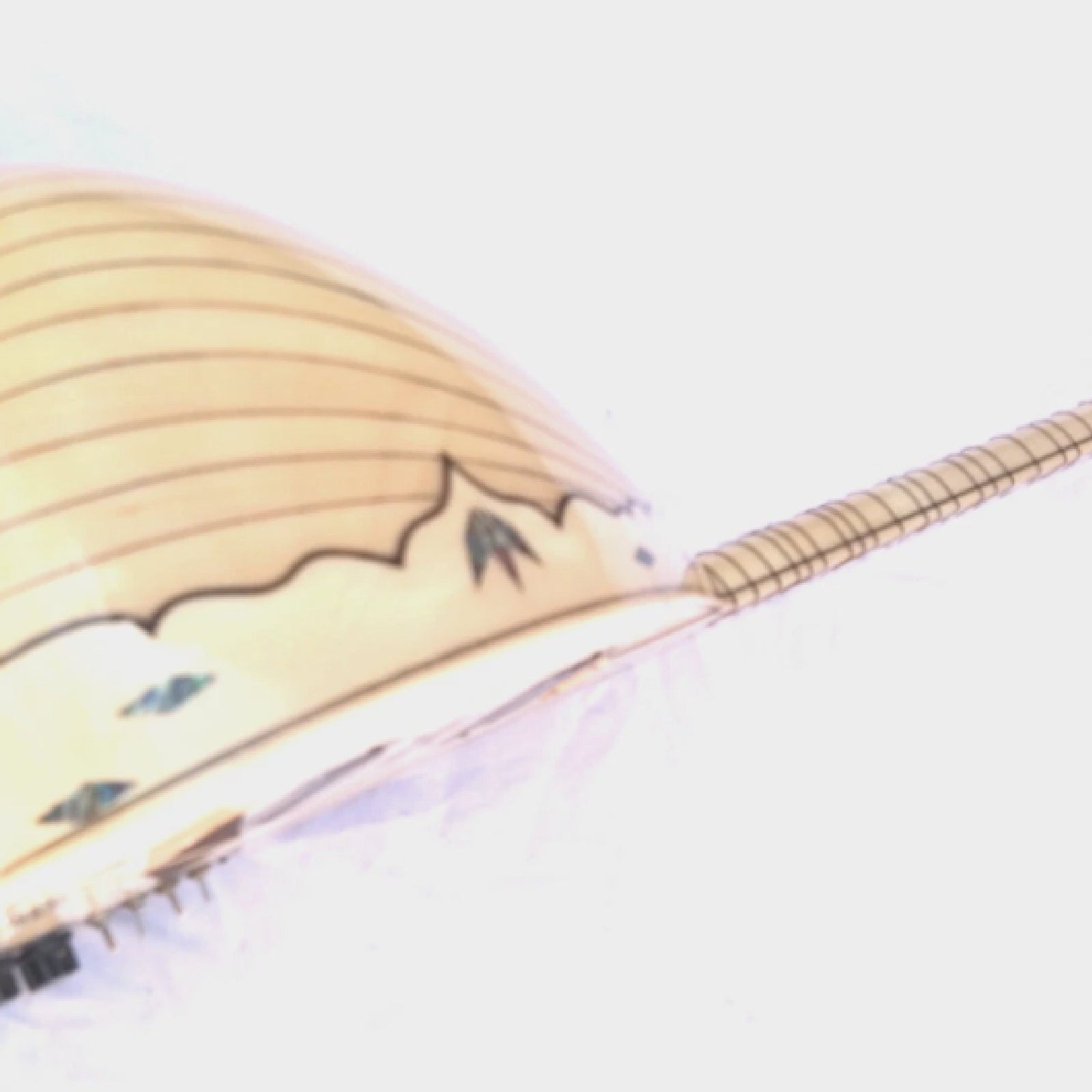 Electric Electro Long Neck Saz Baglama Free Case e22