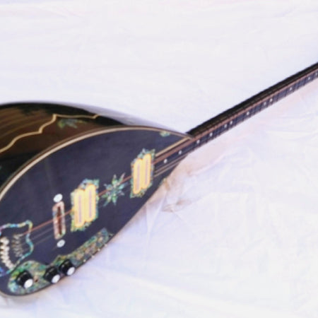 Electric Electro Long Neck Saz Baglama Free Case e11