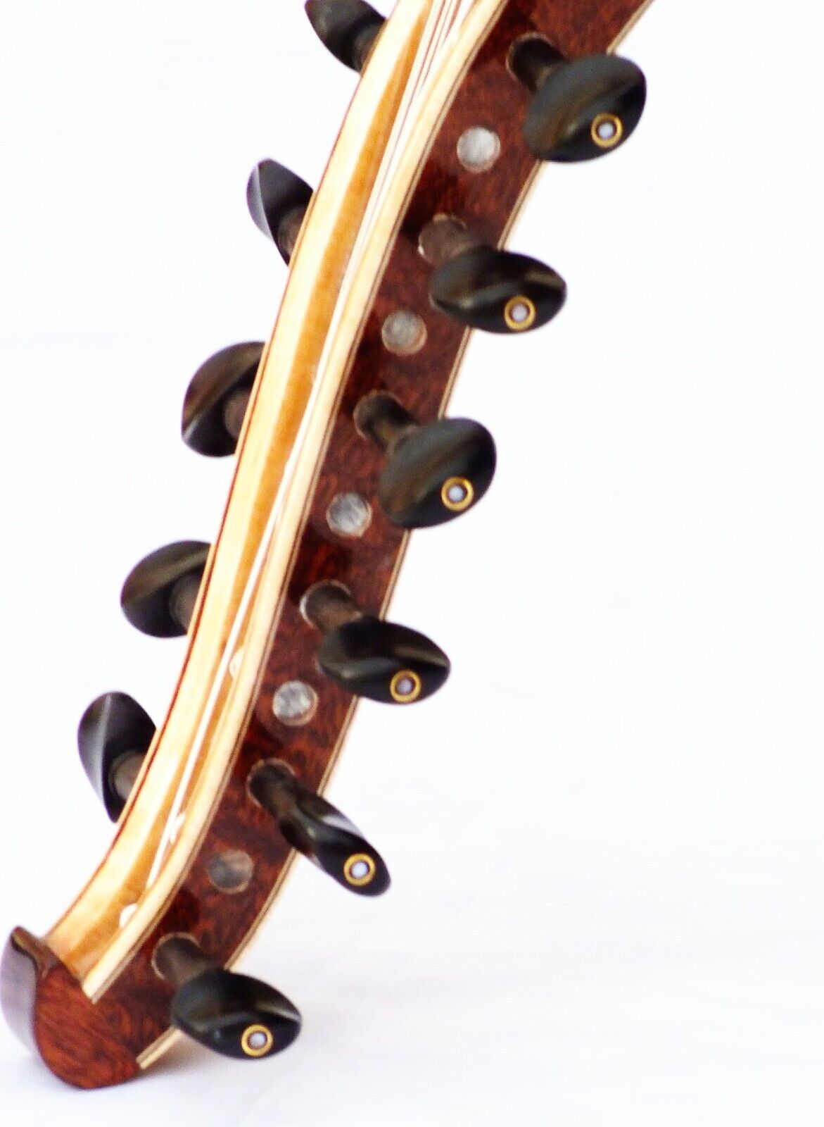 Premium Pamela Mahoganİ Oud unos3