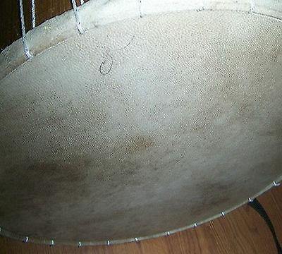 ANIMAL LEATHER SKIN FOR TURKISH DRUM DAVUL DHOL  NEW - unosell music instruments