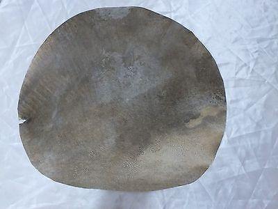 36 cm GOAT ANIMAL SKIN FOR PERCUSSION INTRUMENTS BENDIR  ETC  NEW - unosell music instruments