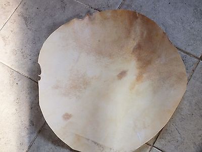 45 cm SHEEP ANIMAL SKIN FOR BENDIR DAF ETC  NEW - unosell music instruments