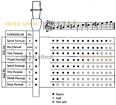 Turkish Woodwind Cherry  Ana MEY with Reed NEW - unosell music instruments