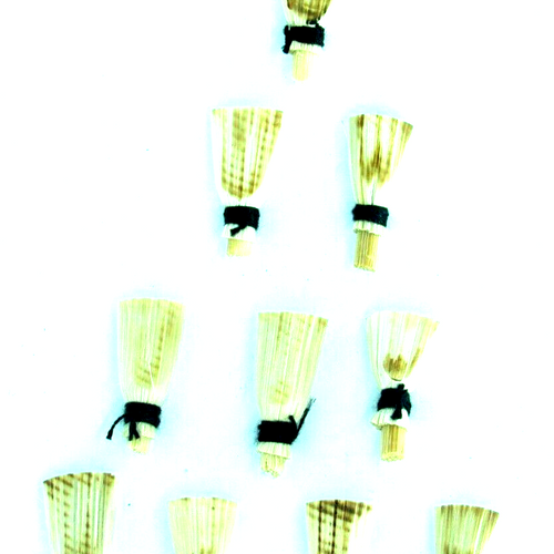 10 Pieces Reed For Zurna Zorna Mizmar