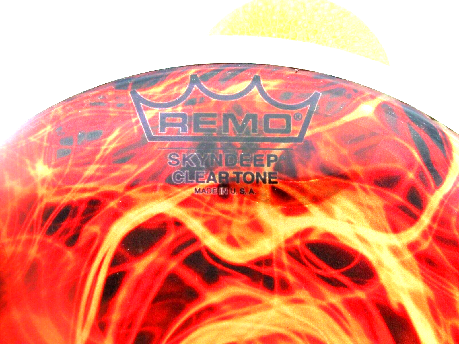 Remo Skin Tef Tambourine Riq Marine W / Punched Cymbals