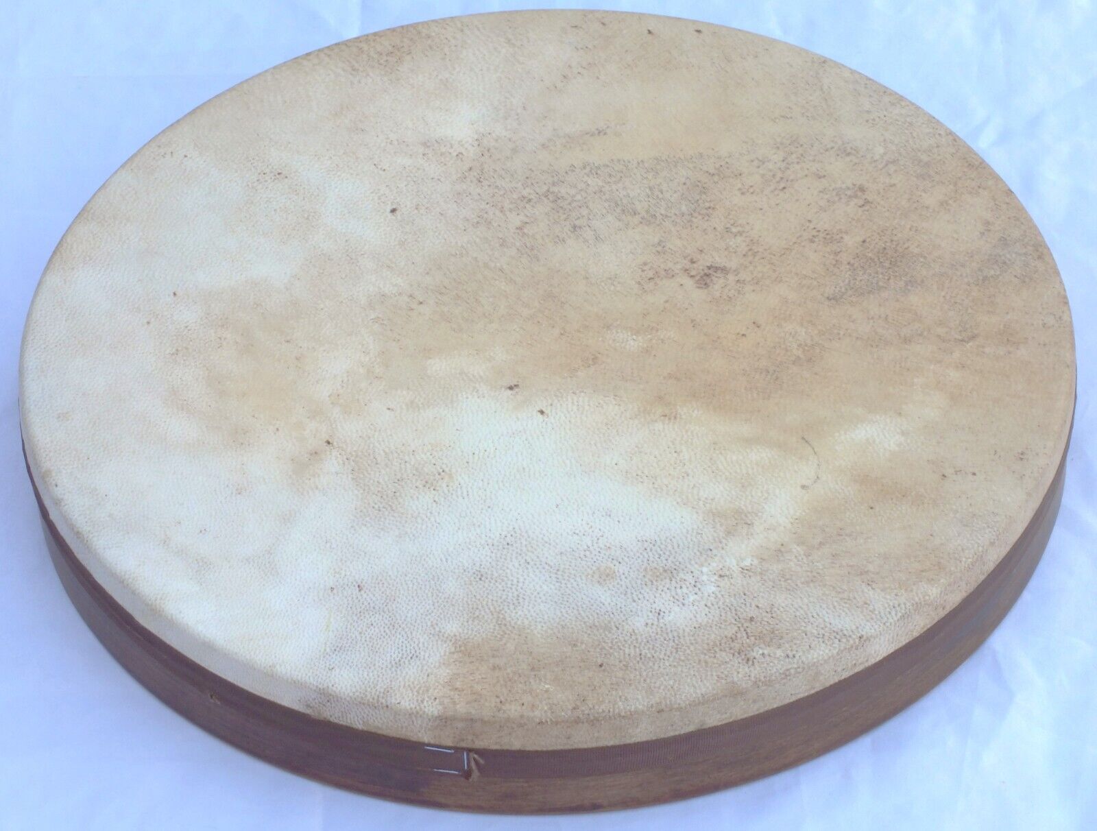 Bendir Frame Drum with Inner Tuning Sm5