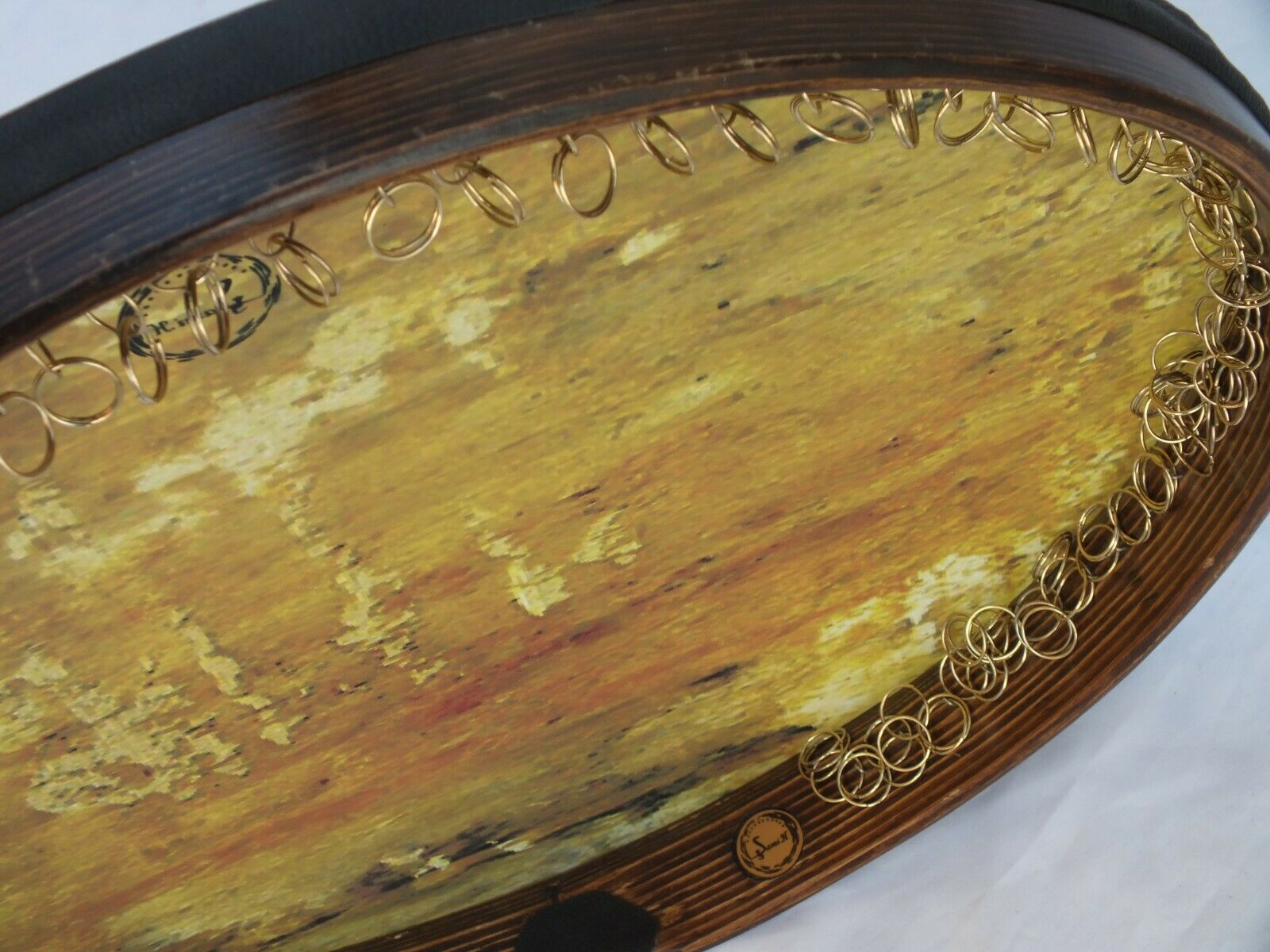 Frame Drum Bendir, Daf, Erbane With Case