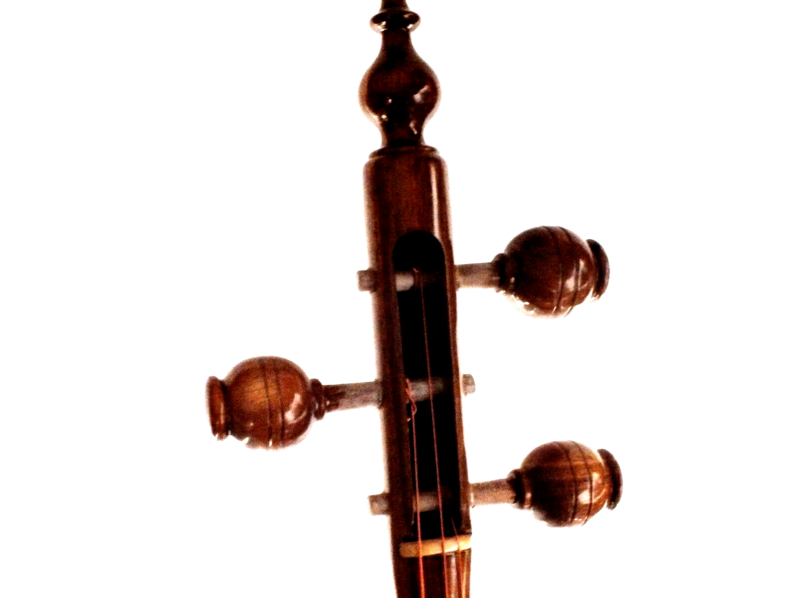 Quality 3 Courses Sufi Rebab Rabab W/ Bag rb1