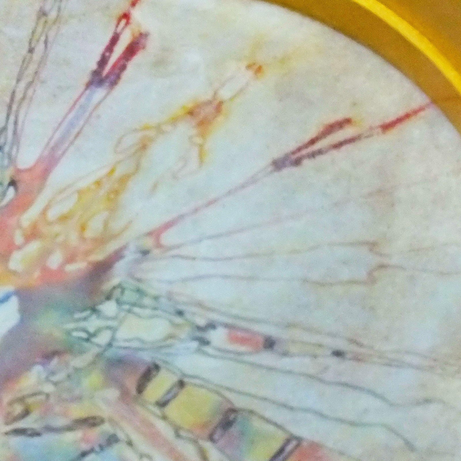 Bendir Frame Drum With Rim Inner Tuning - Unosell Muzik Enstrumanlari